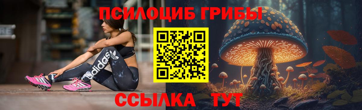 Благодарный  Псилоцибиновые грибы GOLDEN TEACHER  Вход с VPN 